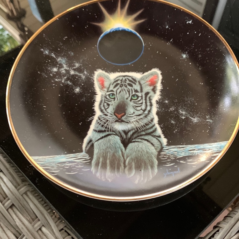 Collector plate promise of a new world